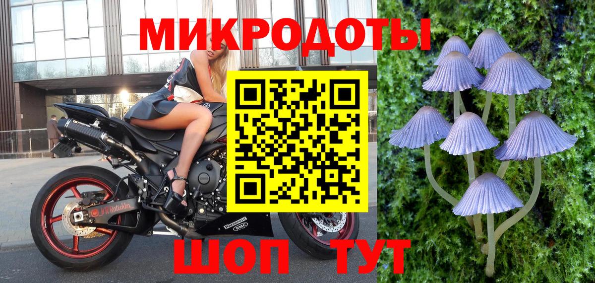где продают наркотики  Галлюциногенные грибы GOLDEN TEACHER  Псилоцибиновые грибы ЛСД  Вход с VPN  Геленджик 