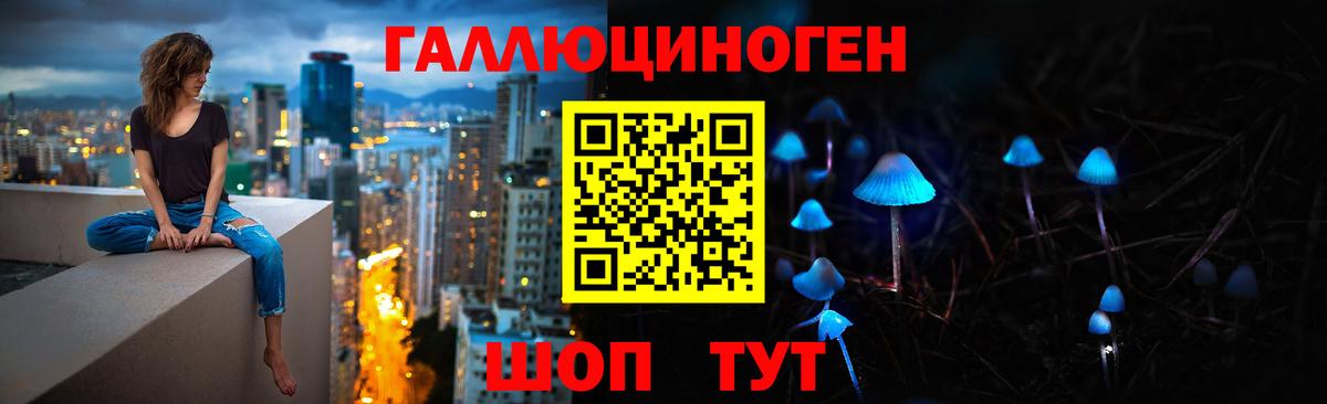 Галлюциногенные грибы Psilocybe Геленджик